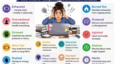 Frazzled Synonyms