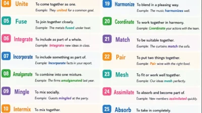 Blend Synonyms