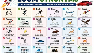 Zoom Synonyms