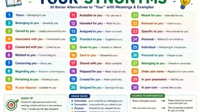 Your Synonyms